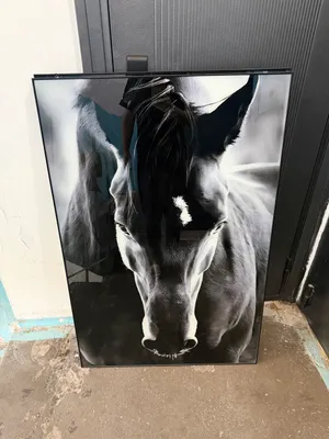 100×80 o‘lchamli rasm, a’lo holatda, 200 000 so‘m 1