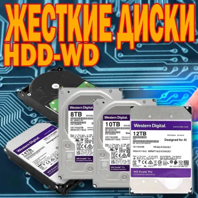 Оригинальные жёсткие диски WD оптом и в розницу