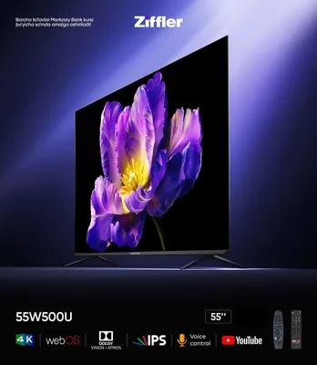 Ziffler 55W500U