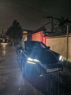 Byd song plus chempion 605 tali 1
