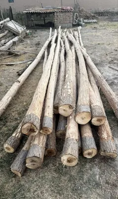 Bolar va strapila sotiladi 1