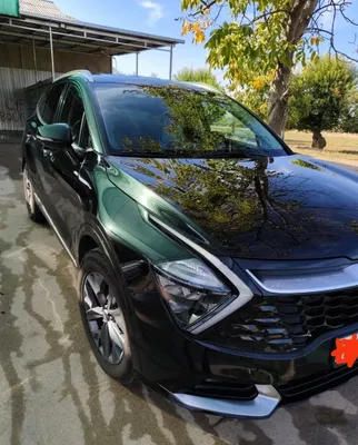 Kia Sportage, 2-я комплектация, 2024 год, пробег 71 000 км 1