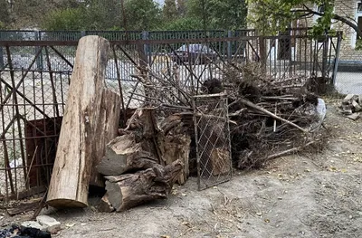 Утин , кунда , тароша , хезим тез сотилади | kunda , tarosha , дрова 1