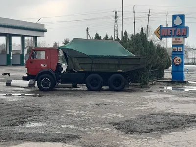 Klines sheben kampot tosh poima turpoq kum chinoz Kamaz xizmati