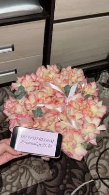 Джумилия розы очень свежие 1