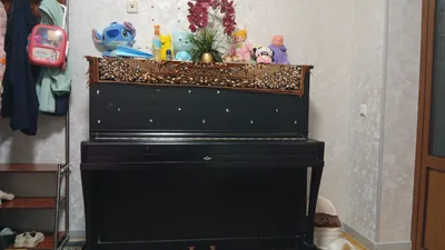 Toshkent Chinoz 46 200