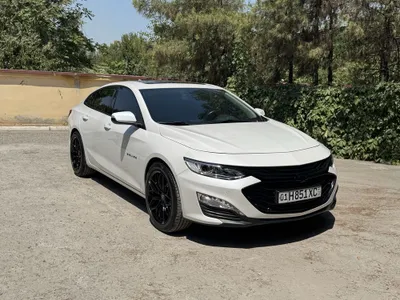 Malibu 2 Premier 2022 1
