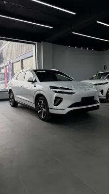 BYD Sealion 06, 605 км, электромобиль 1