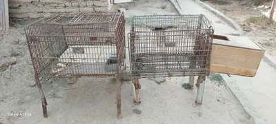 Продам клетки для кроликов продам клетки 1