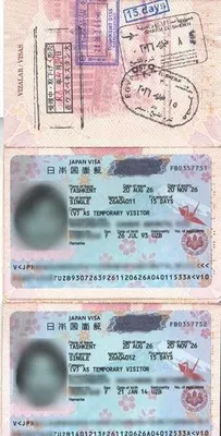 Виза в Японию: онлайн-запись в очередь 1