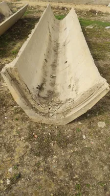 Продаются лотки 100-го размера 1
