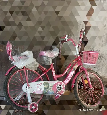 Ikki o‘rinli pushti o‘smirlar velosipedi 1