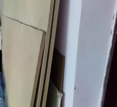 ДСП 45 000 м², Россия 1
