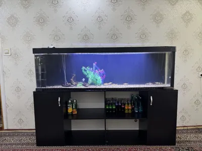 500 litrli baliqlar, filtr va tumba bilan akvarium, to‘liq to‘plam 1