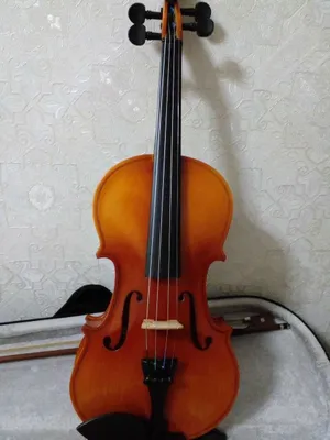 Musiqa asbobi 1
