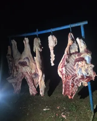 Услуги по забою скота