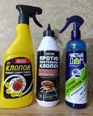 Klopa dori
