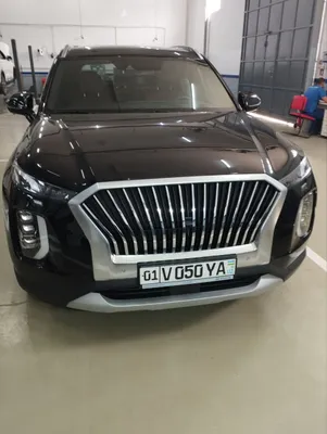 hyundai palisade 1