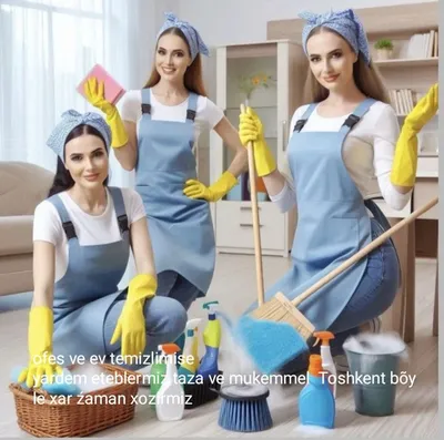 ev va ofes temizlemesi