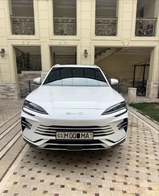 BYD Champion 110km токда юради 1