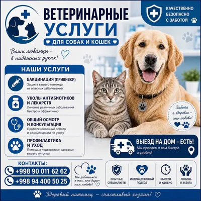 Ветеринарные услуги - "Vet house" 1
