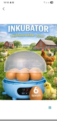 Продаётся инкубатор 1