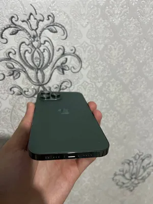 Iphone 13 Pro max 76% 256gb 1