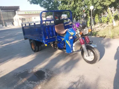 Lochin muravet 2.10 1