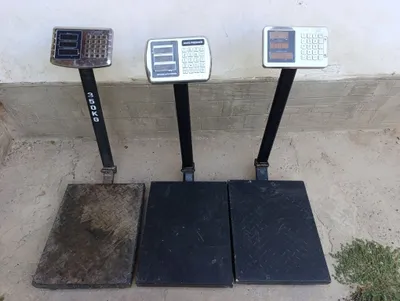 Toroz 350 kg sotiladi