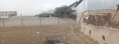 surhondaryo denov tumani ulyanif sariq turba arentir 1