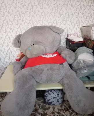 Мишка Teddy самая большая 1