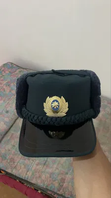 Зимняя кепка МВД 1