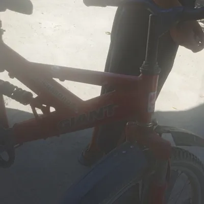 velosiped 1