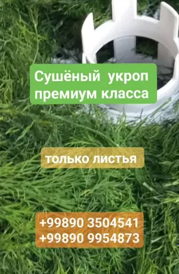 Premium toifadagi quritilgan ukrop 1