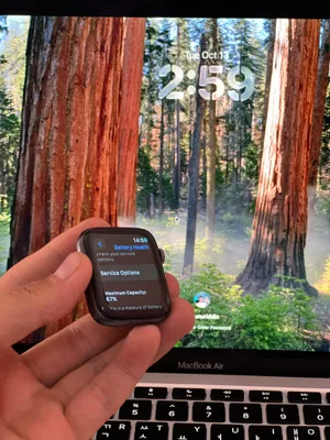 iwatch 4 44mm 1