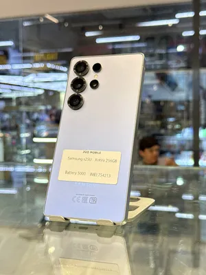 Samsung S25 Ultra