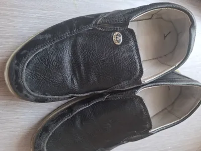 koja ogilbolar un 1