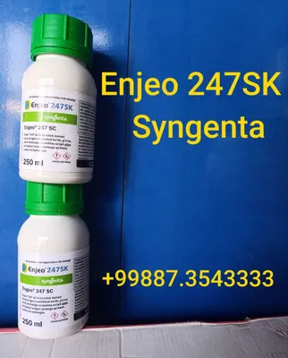 Enjeo ( Engeo. Enjoy, Энжой, Энжий, Энжео ) дориси. Оригинал махсулот