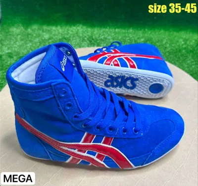 Barsovkalar Asics sportchilar uchun 1