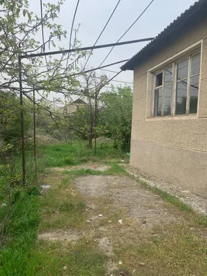дом 1