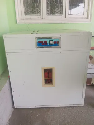Инкубатор. Вмещает 600 яиц 1