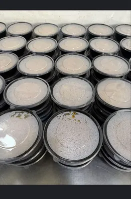 Catering hizmati 3 mahal ovqat tarqatamiz Stroykaga 45,000 boshlanadi! 1