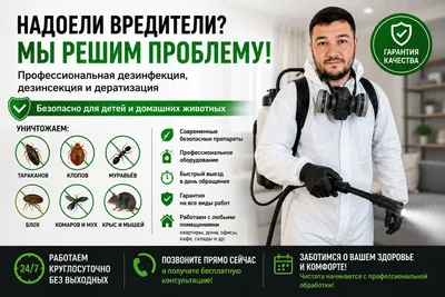 Toshkentda professional dezinfeksiya, dezinseksiya va deratizatsiya.