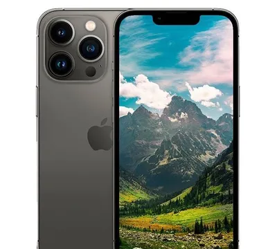 13 Pro Max 256 gb ideal