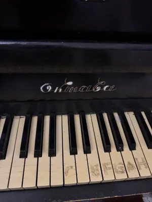 “Oktava” pianinosi 1