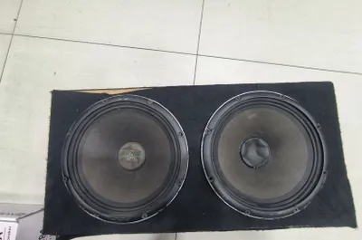 Beaf bonce Arnold 20 sm estradniy