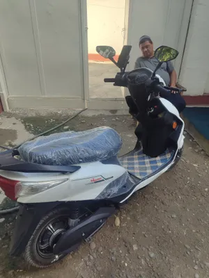Sukut yangi 20 kuncha bold pul zail 1