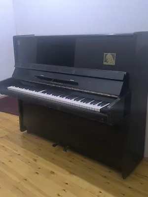 "Lastochka" pianinosi 1