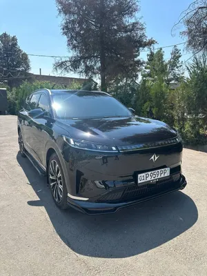 VIP междугороднее такси 1