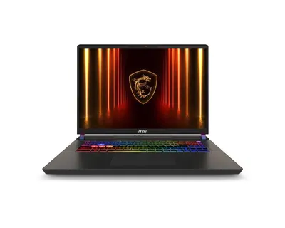 MSI VECTOR 17 hx ULTRA 9-275HX 32/1TB 16GB RTX 5080 17'' gray backlit 1